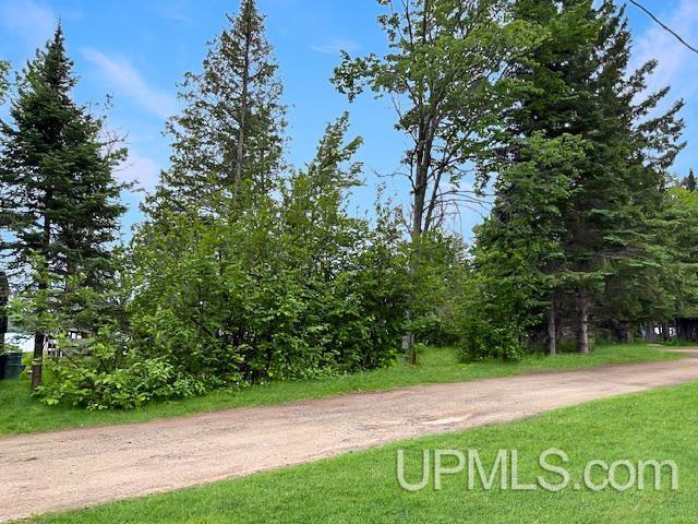 217 East Lake Emily Road Crystal Falls, MI 49920 - Photo 27 of 65