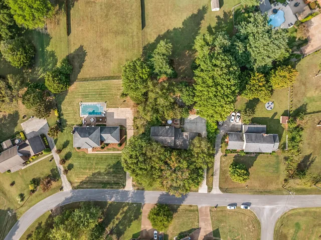 a view of a yard with a tree