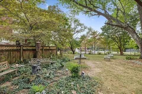 a view of a yard with a tree