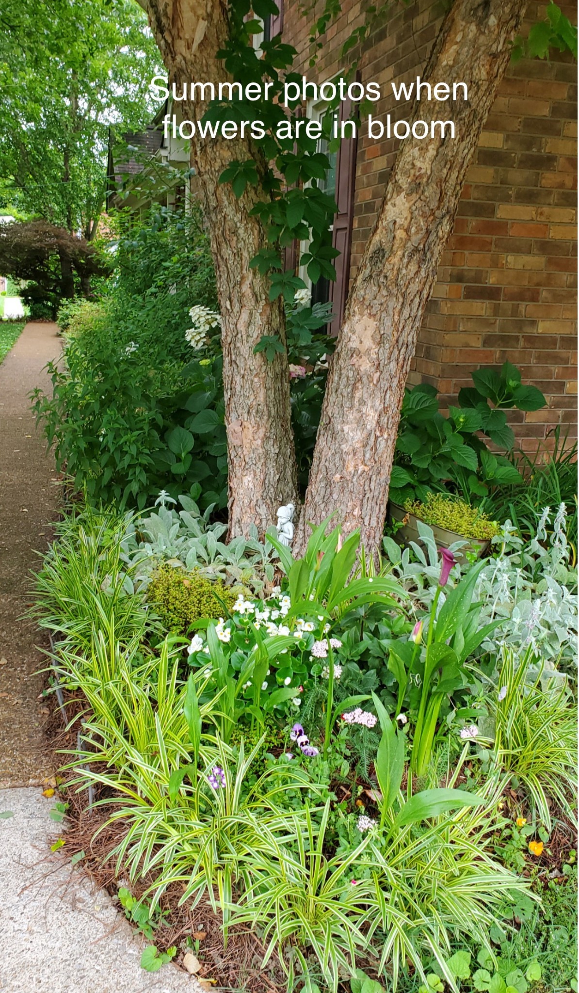 129 West Ridge Drive Hendersonville, TN 37075 - Photo 39 of 44 a plant view