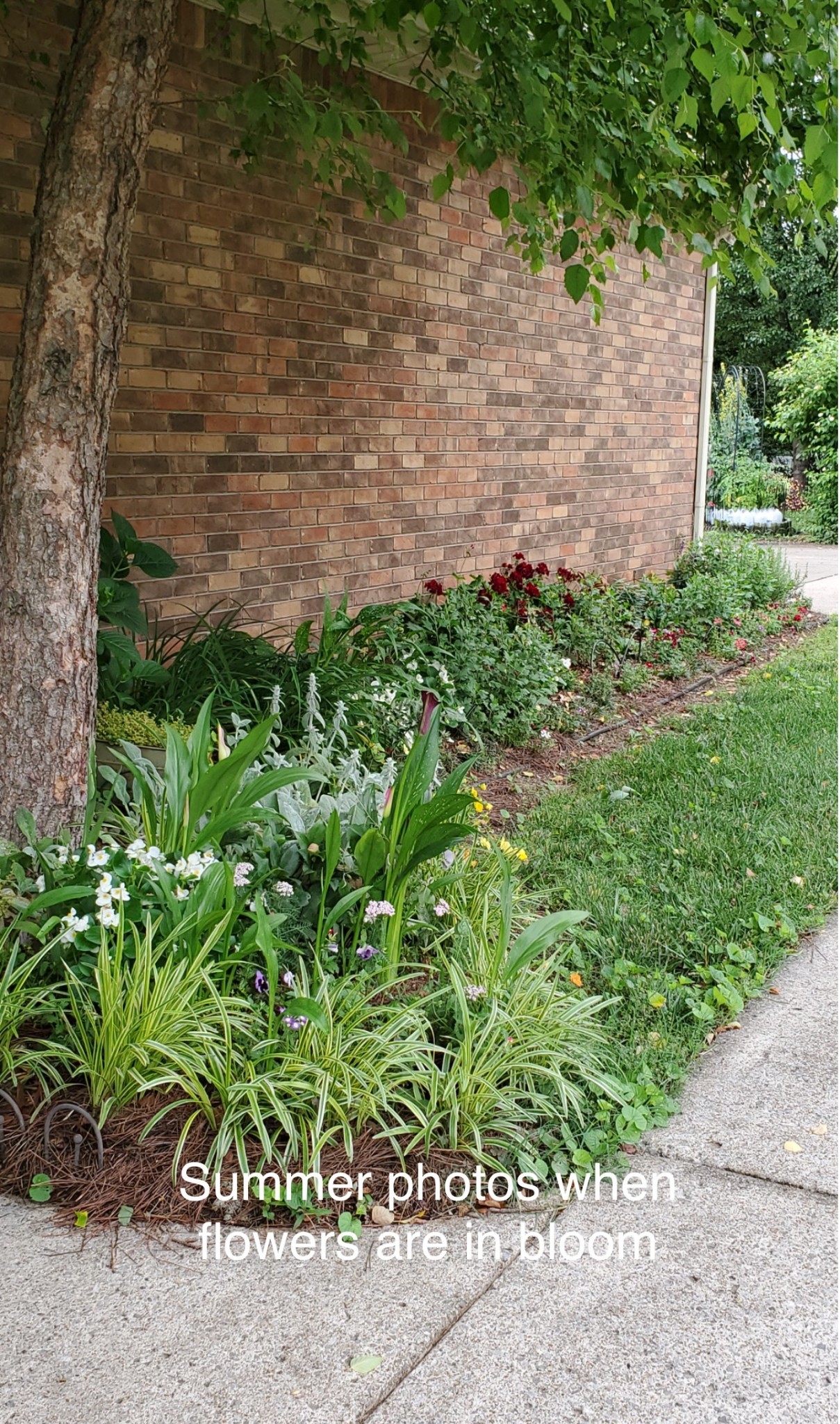 129 West Ridge Drive Hendersonville, TN 37075 - Photo 40 of 44 a backyard of a house with lots of green space