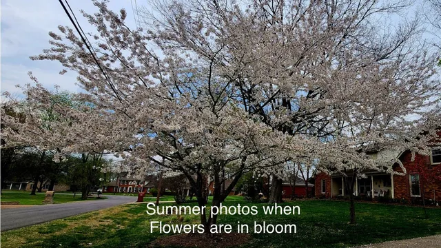 an outdoor view of house with green space