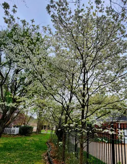 $637,700 | 129 West Ridge Drive, Hendersonville, TN 37075