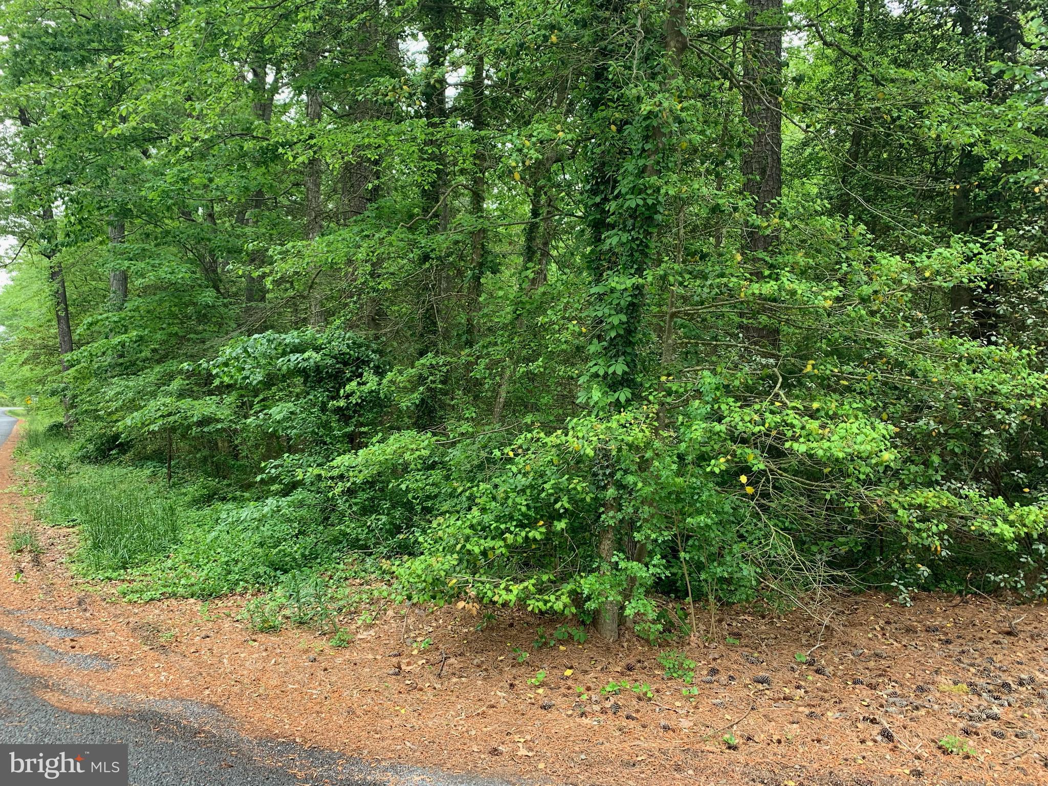 River Road Tall Timbers, MD 20690 - Photo 2 of 5 Gallery Image 2