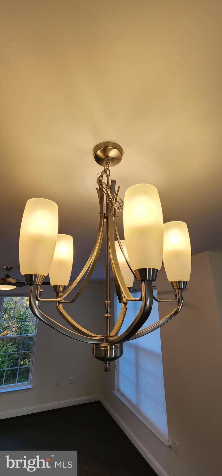 3910 Doc Berlin Drive, Unit 43 Silver Spring, MD 20906 - Photo 19 of 39