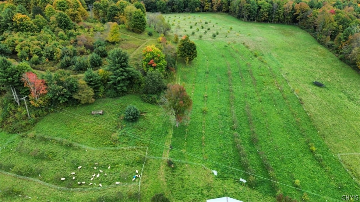 5099 Conrad Road Willet, NY 13040 - Photo 44 of 50 Gallery Image 44