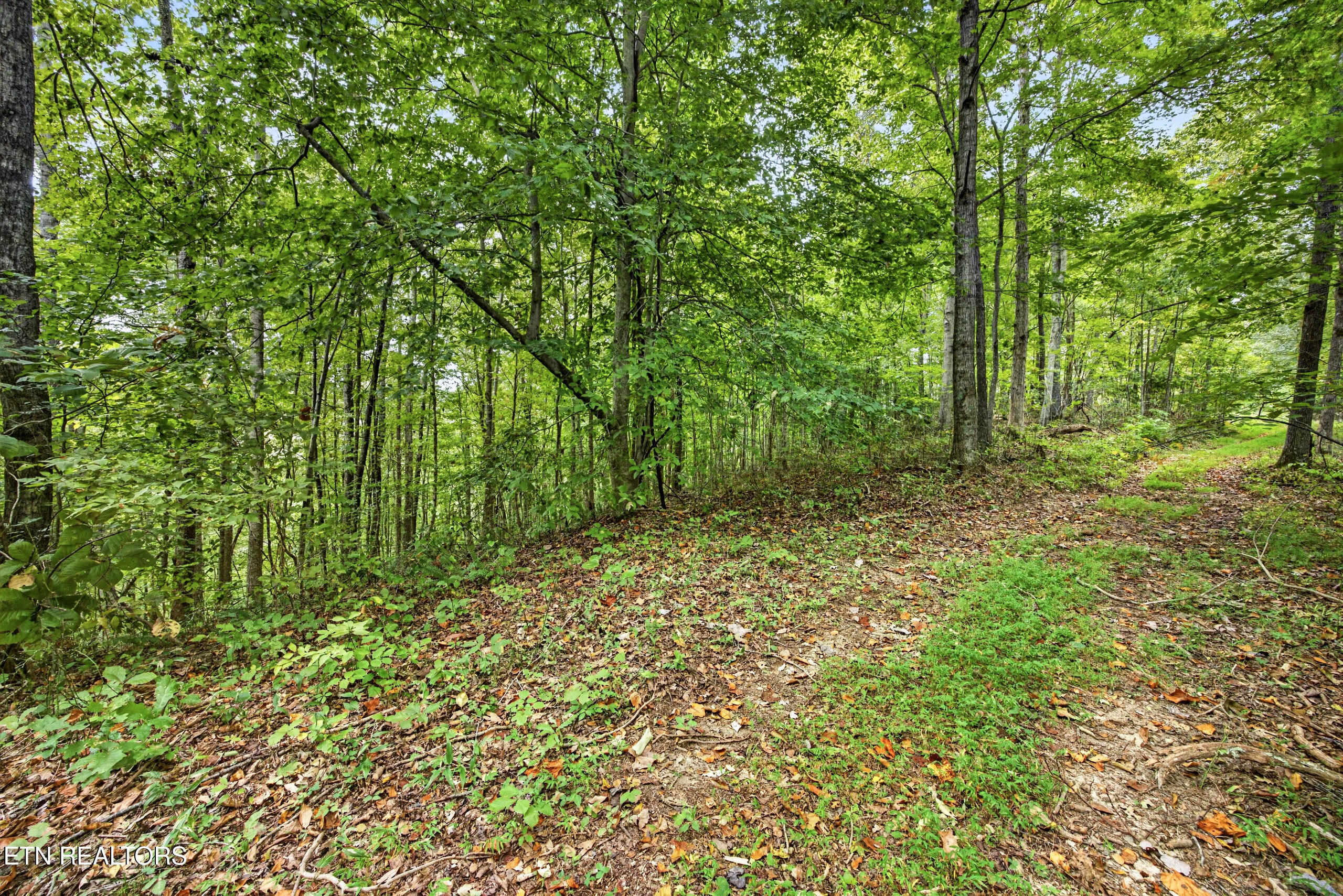 Lot 30 Timber Ridge Lane Celina, TN 38551 - Photo 4 of 12 3-8N5A6646