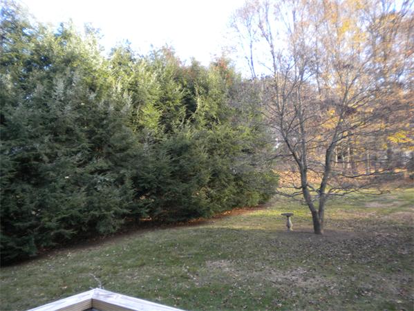 15 Cottonwood Road Wellesley, MA 02482 - Photo 15 of 15 Gallery Image 15