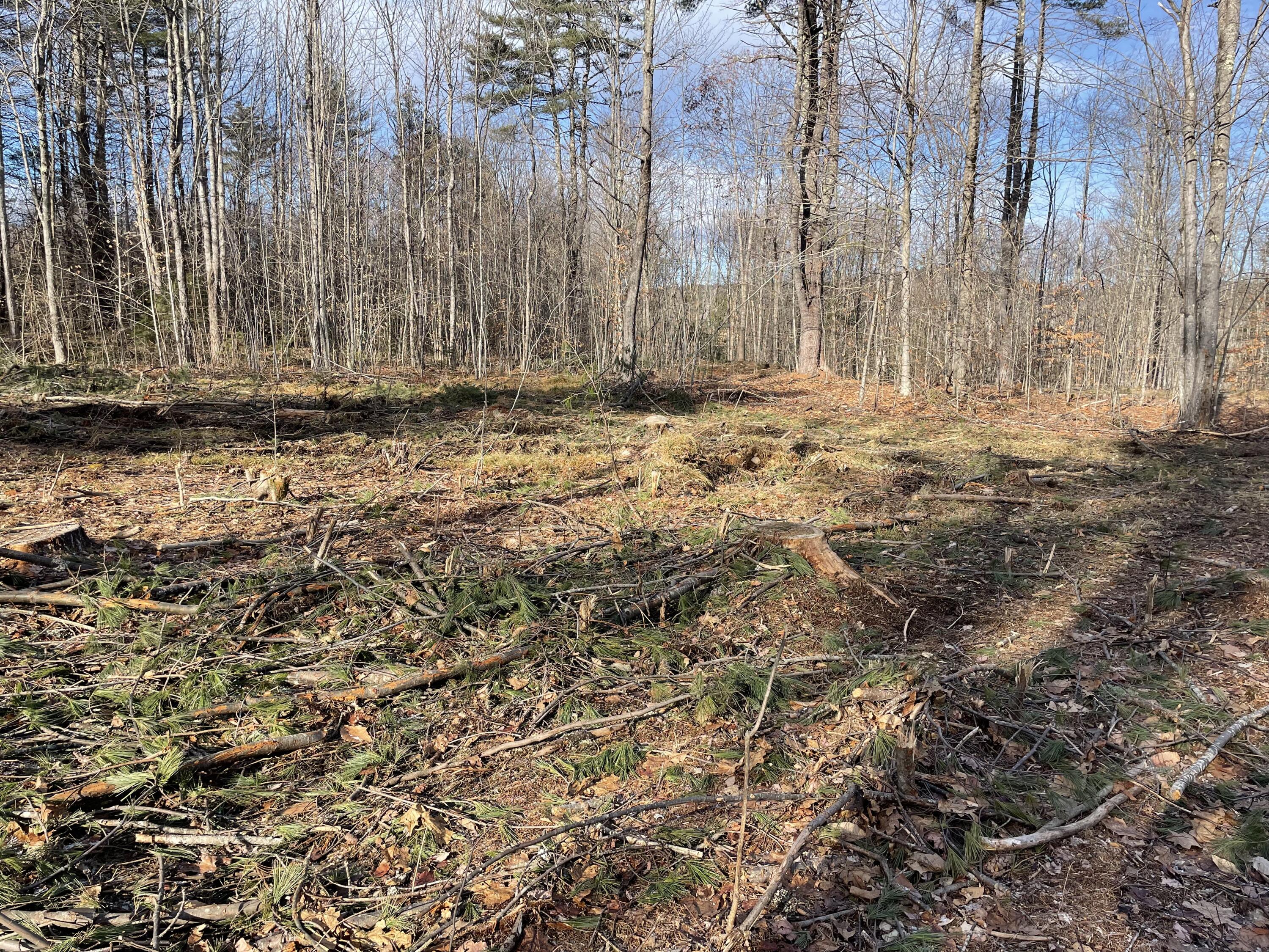 Lot 12-1 Maplewood Road Parsonsfield, ME 04047 - Photo 3 of 14 Lot 12-1 Maplewood Rd