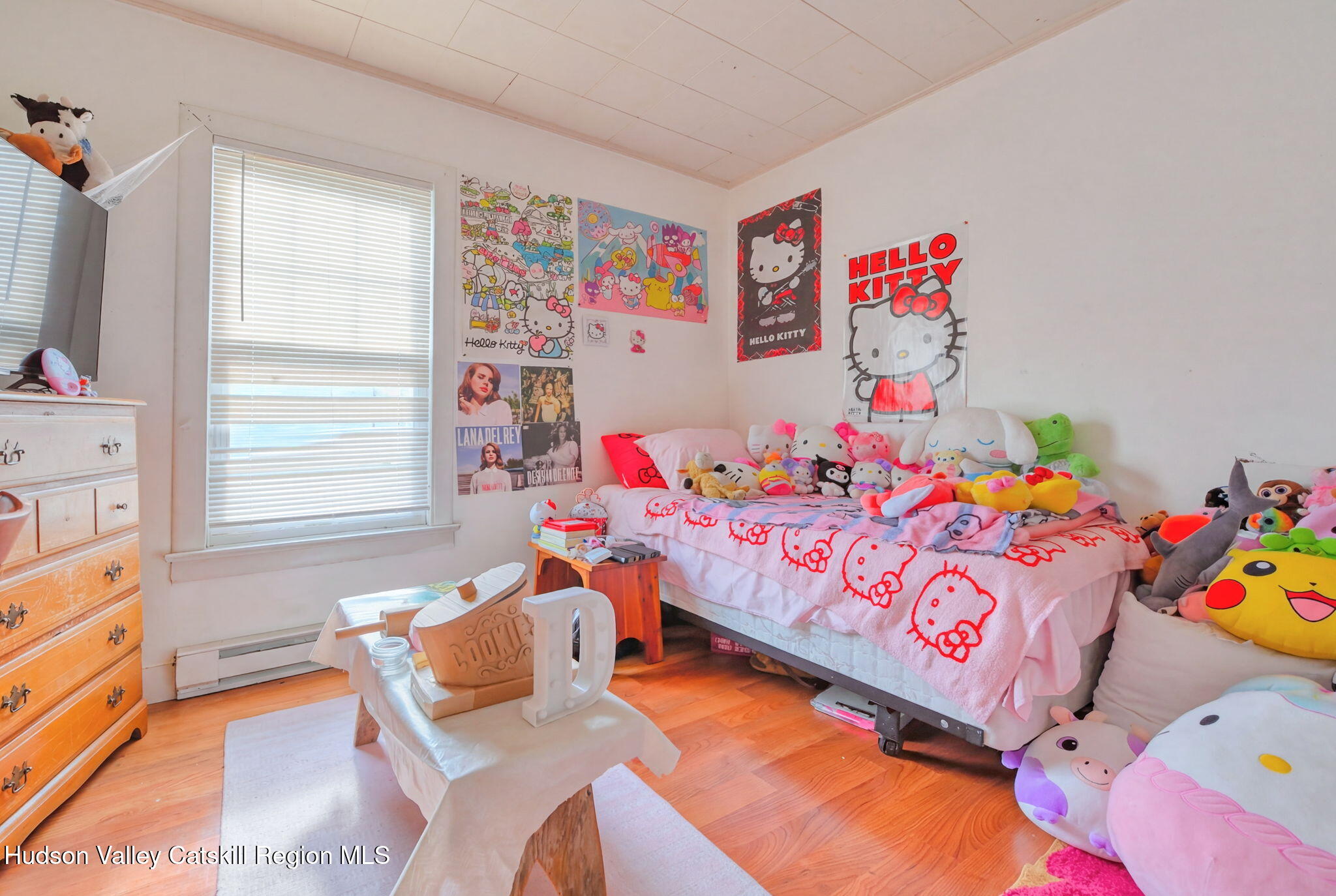 579 Main Street Cairo, NY 12413 - Photo 23 of 40 apt3 (6)