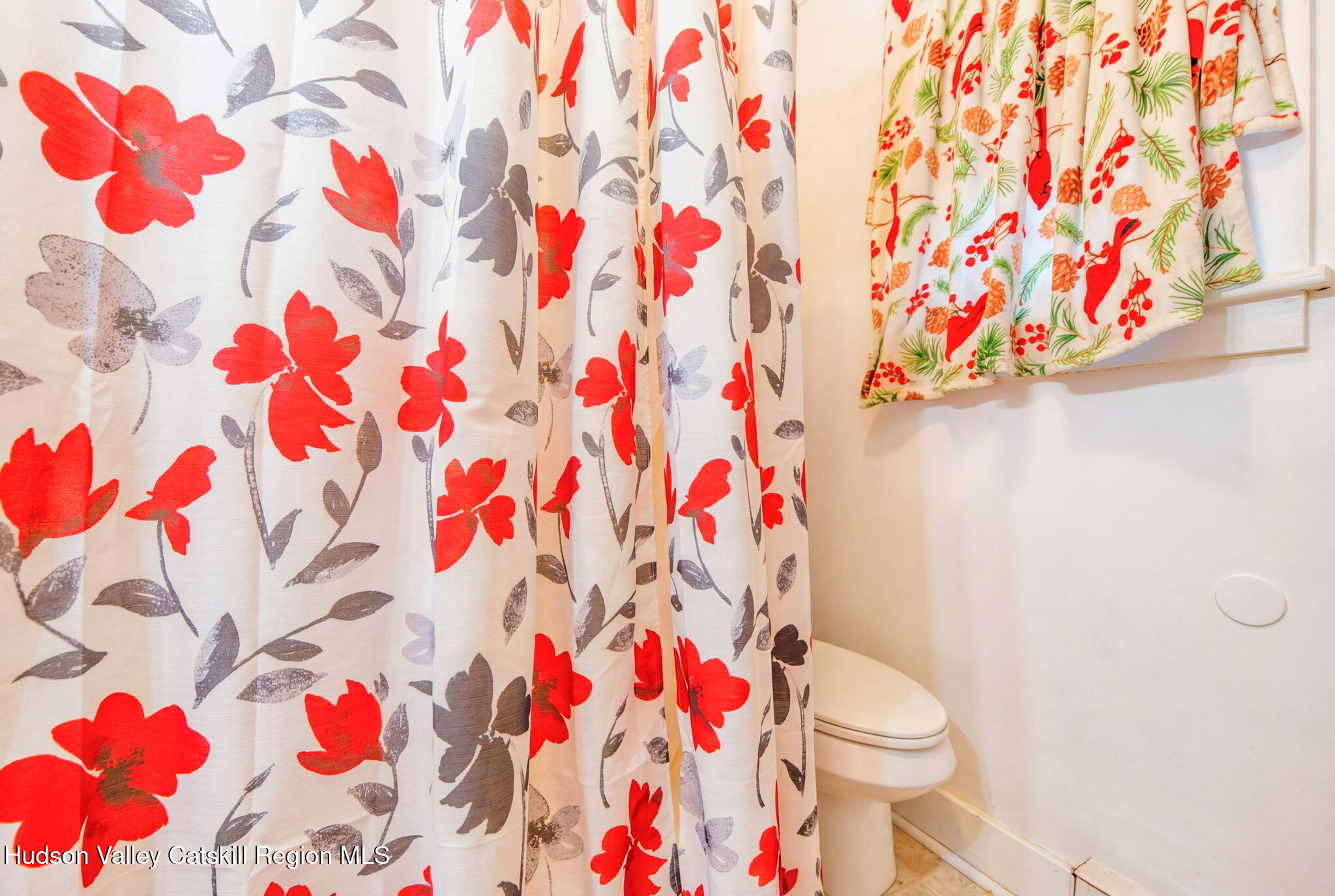 579 Main Street Cairo, NY 12413 - Photo 25 of 40 apt3 (8)