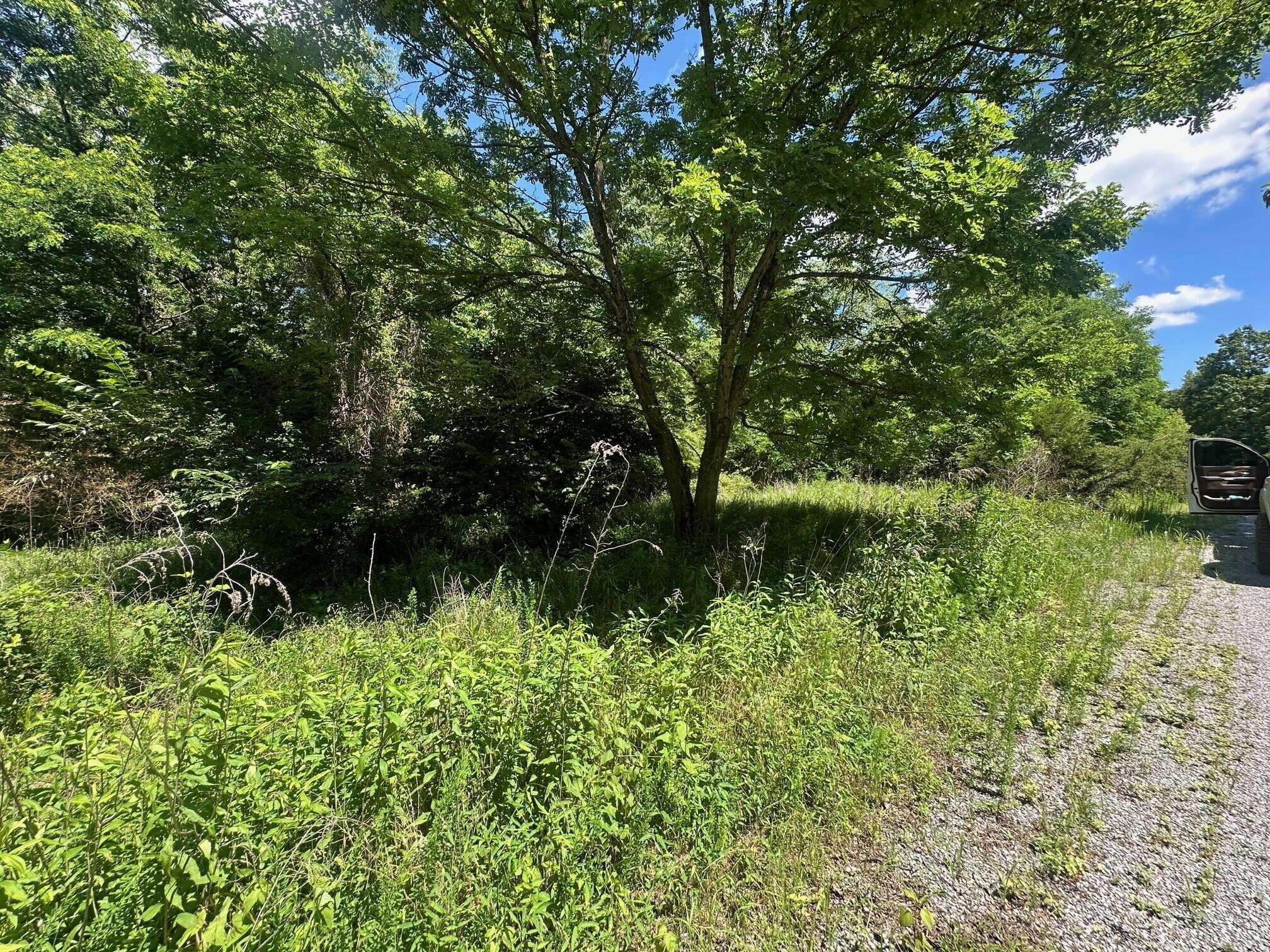 174 Teludachee Trail Guild, TN 37340 - Photo 2 of 5 Gallery Image 2