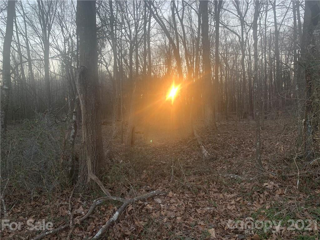 0 Rising Sun Road, Unit 182/19 Peachland, NC 28133 - Photo 6 of 11