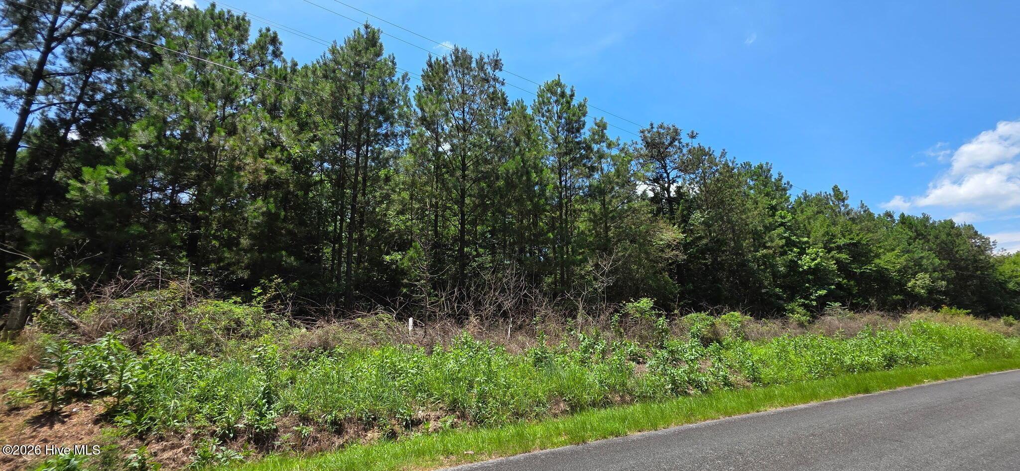 105 A Chestnut Ridge Road McCormick, SC 29835 - Photo 3 of 4 Gallery Image 3