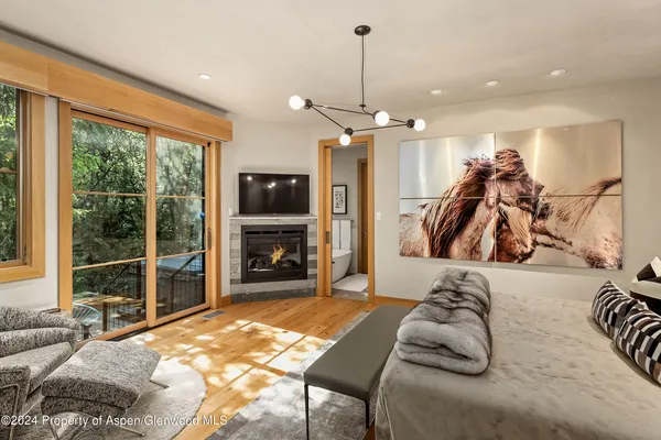 a bed room with a bed and a television