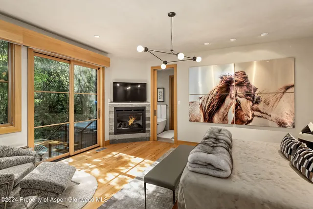 a bed room with a bed and a television