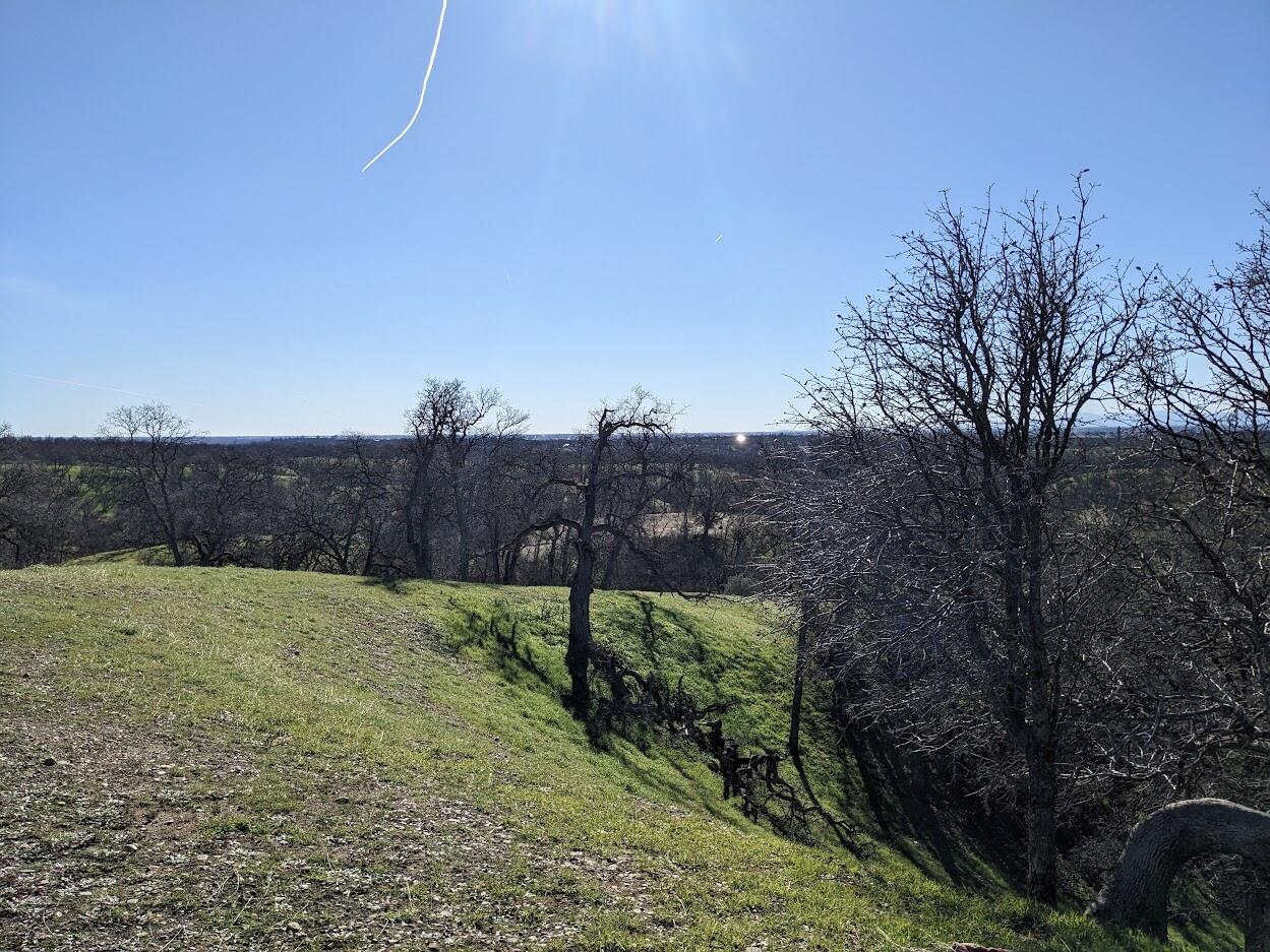 0 Penneleme Road Red Bluff, CA 96080 - Photo 4 of 7 a view of a backyard