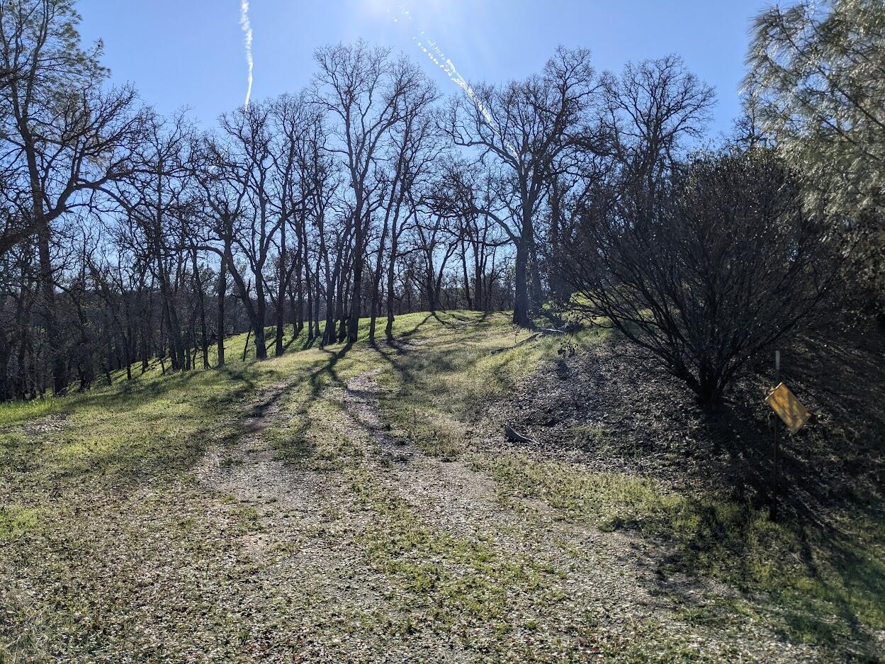 0 Penneleme Road Red Bluff, CA 96080 - Photo 6 of 7 a view of a yard with a tree