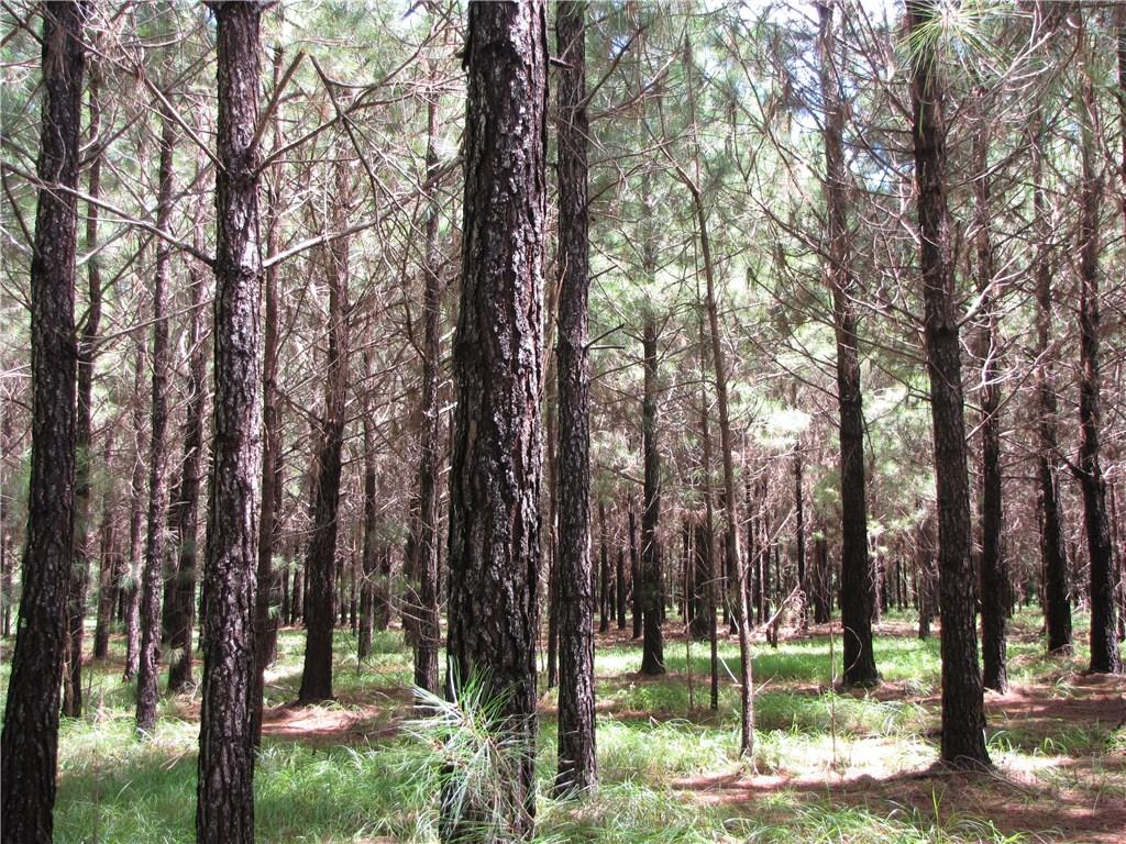 81453 Tom Penton Road Bush, LA 70431 - Photo 24 of 25 Gallery Image 24