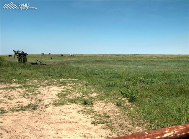 40550 Funk Road Ramah, CO 80832 - Photo 12 of 31 The cows love it!!