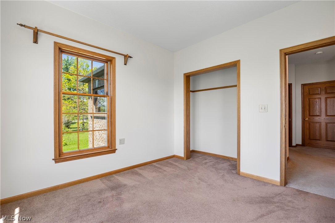 51488 Peck Wadsworth Road Wellington, OH 44090 - Photo 17 of 50 Carpeted room featuring a single-hung window with wood-finish trim, a clothing rod in the open closet, and a five-panel wood-finish door