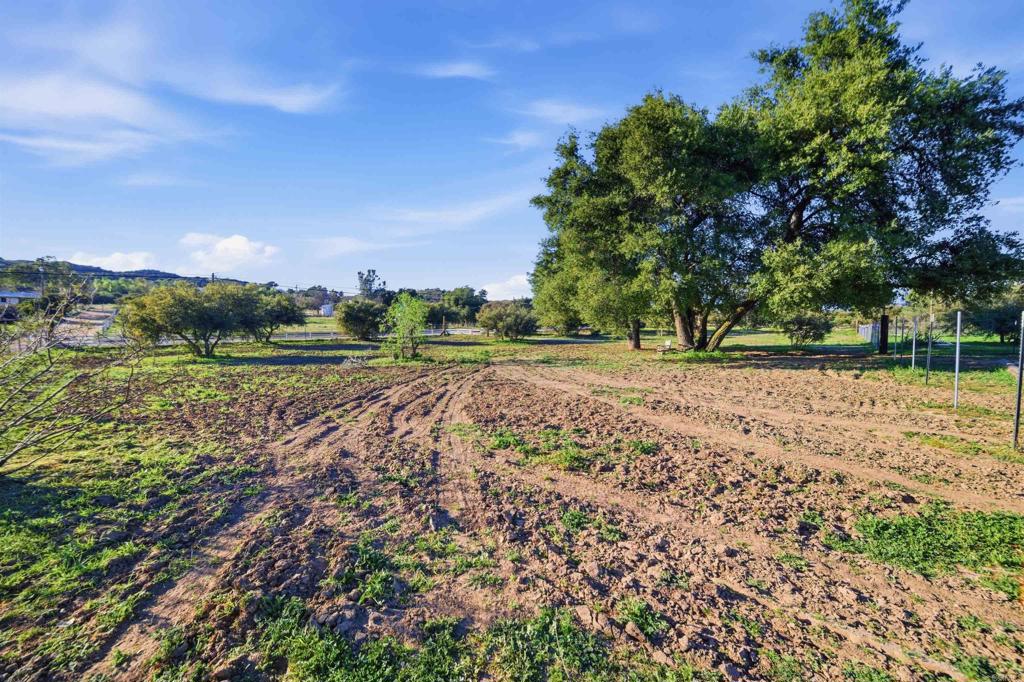 2219 Buckman Springs Road Campo, CA 91906 - Photo 49 of 58 Backyard field