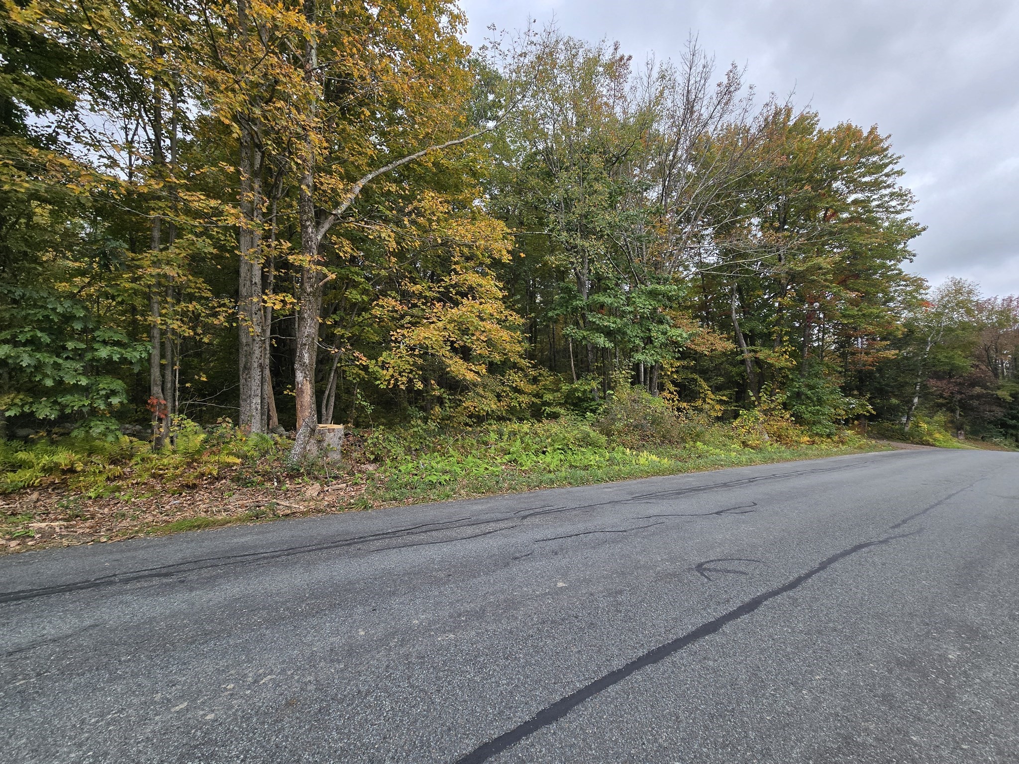 0 Barnard Road Granville, MA 01034 - Photo 1 of 6 Gallery Image 1