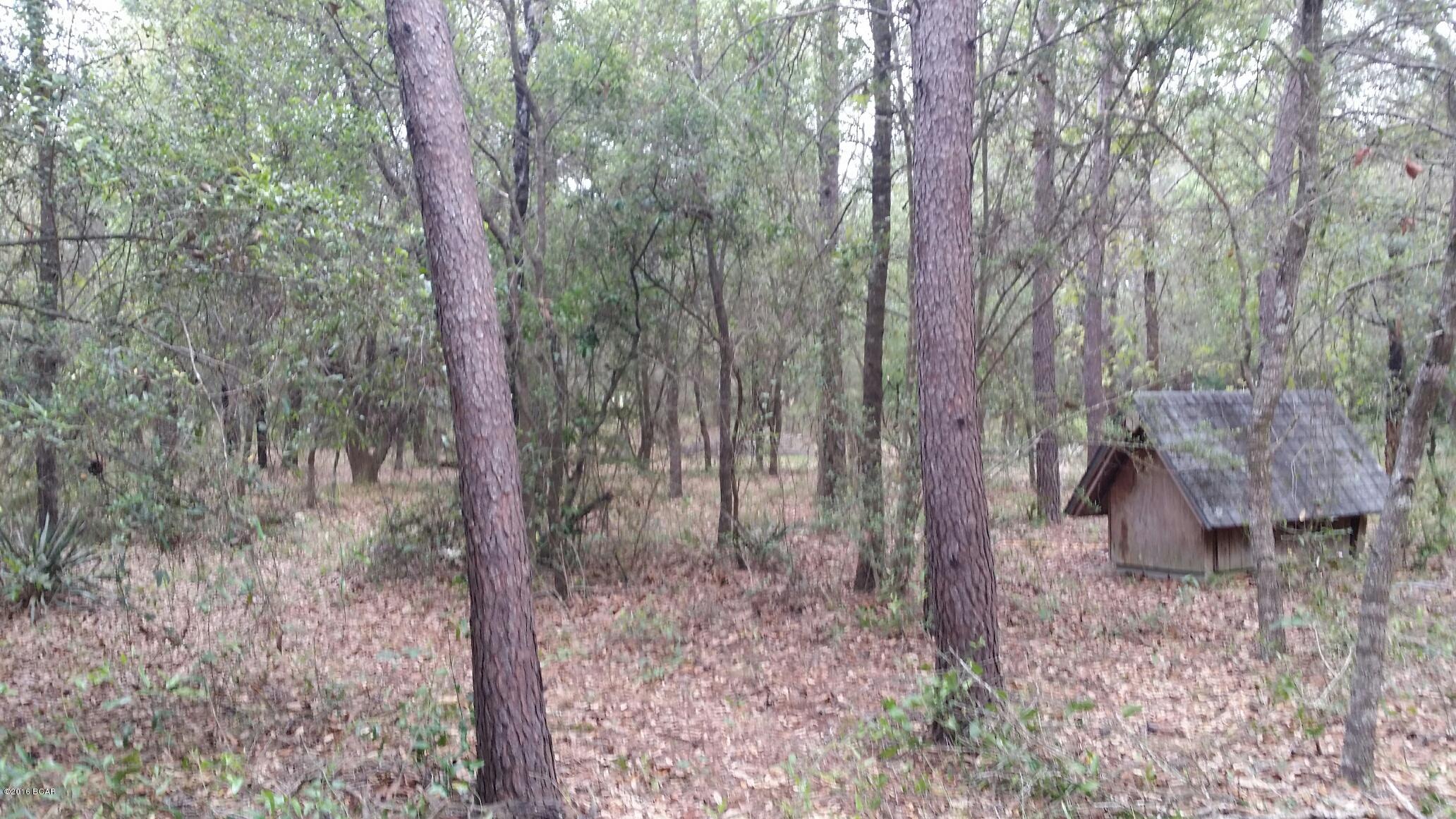911 Spikes Road Southport, FL 32409 - Photo 8 of 9