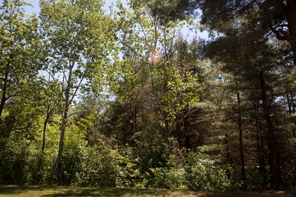 610 Ridgefield Circle, Unit A Clinton, MA 01510 - Photo 24 of 30 Gallery Image 24