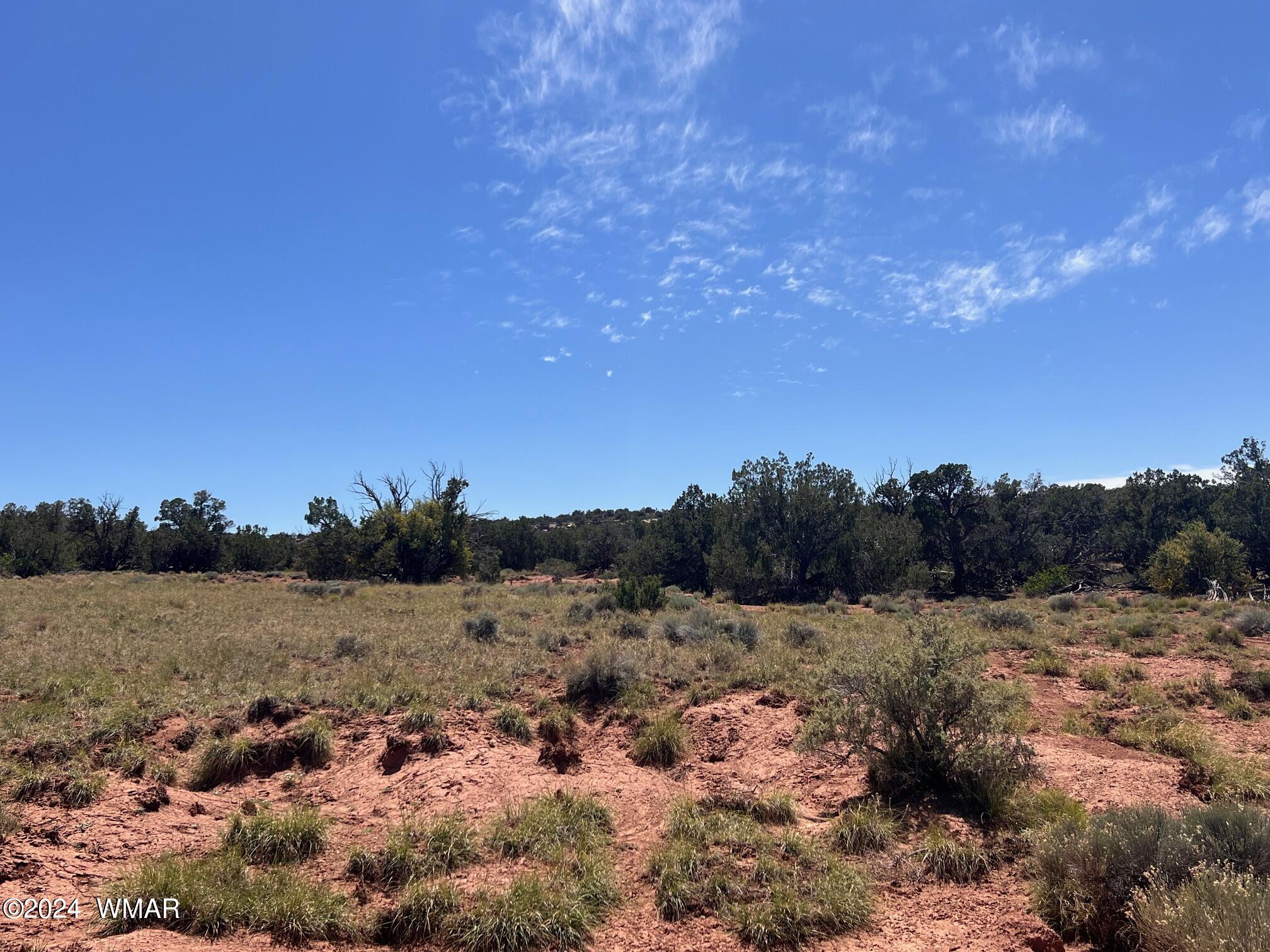 Tbd Yaqui Road Snowflake, AZ 85937 - Photo 11 of 14
