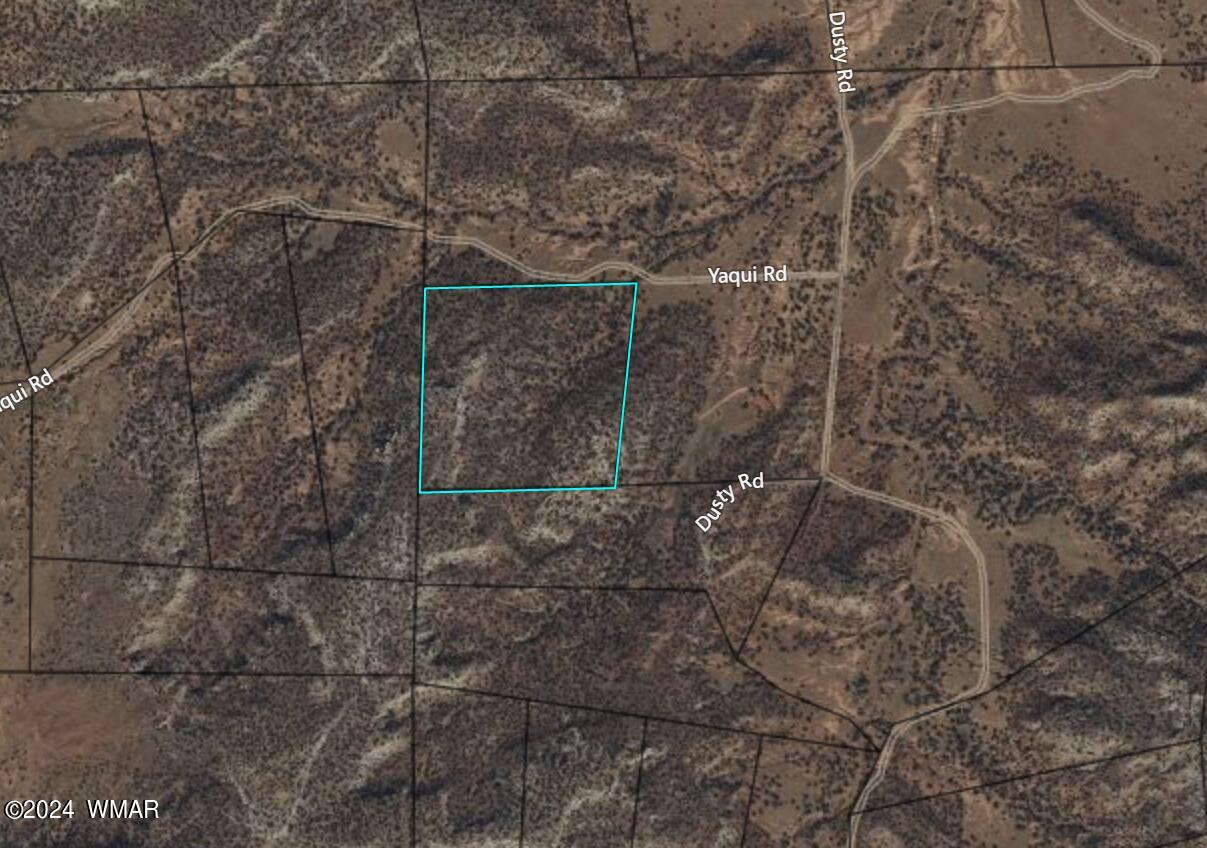 Tbd Yaqui Road Snowflake, AZ 85937 - Photo 3 of 14