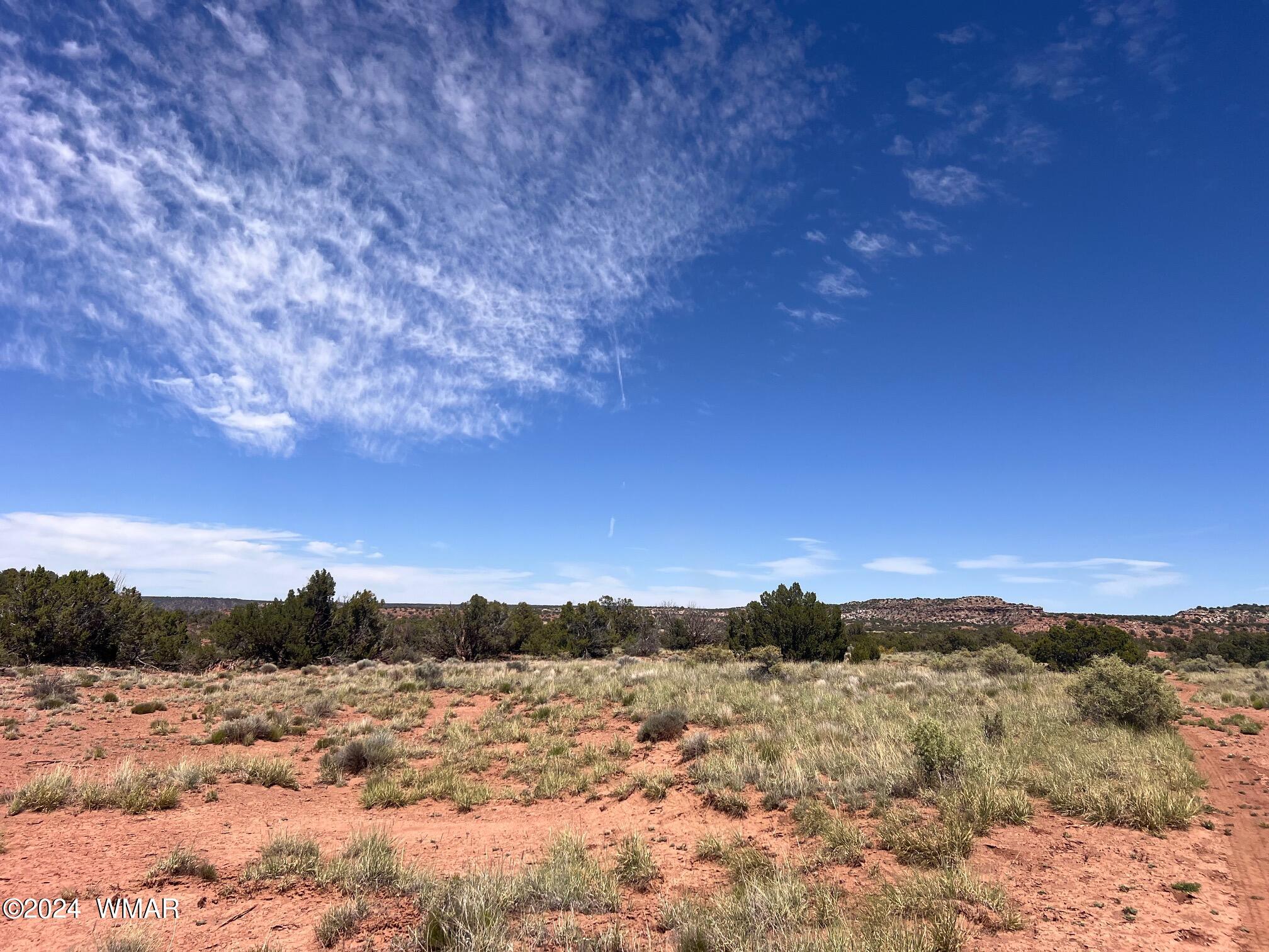 Tbd Yaqui Road Snowflake, AZ 85937 - Photo 4 of 14