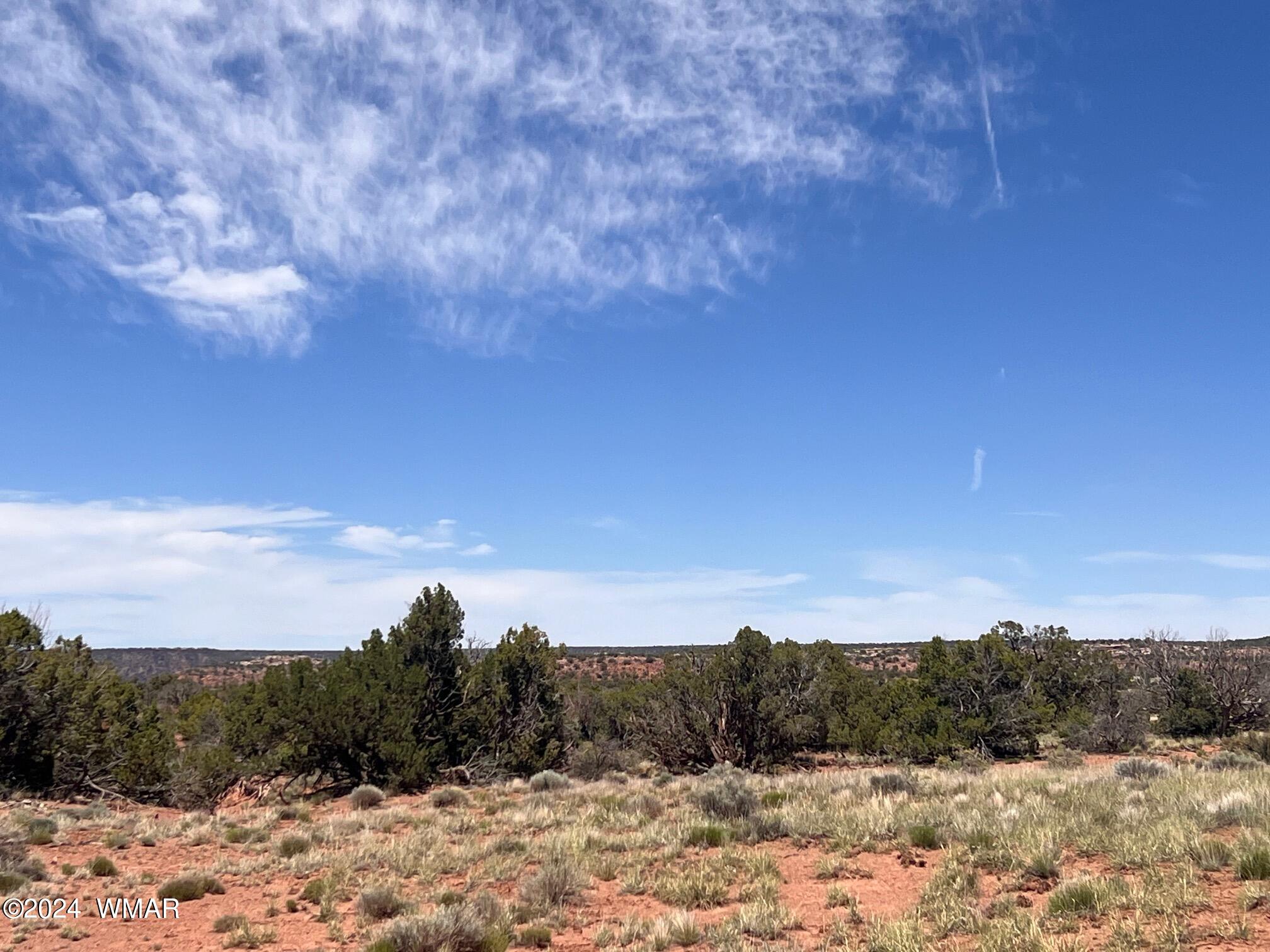 Tbd Yaqui Road Snowflake, AZ 85937 - Photo 8 of 14