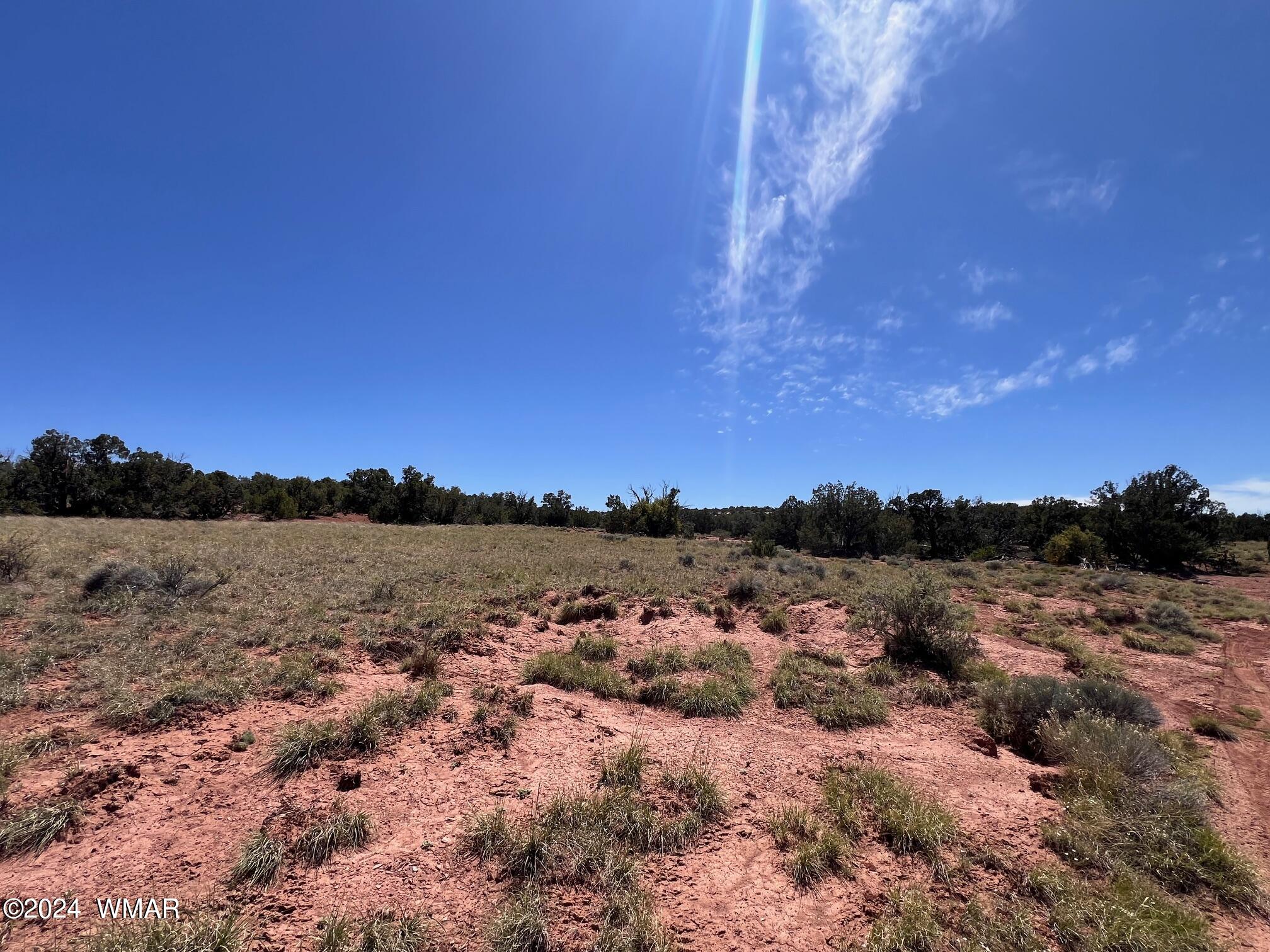 Tbd Yaqui Road Snowflake, AZ 85937 - Photo 10 of 14