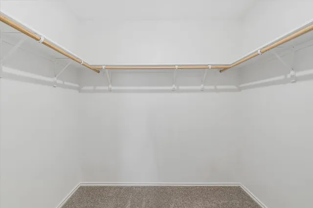 a bathroom with a shower and a toilet