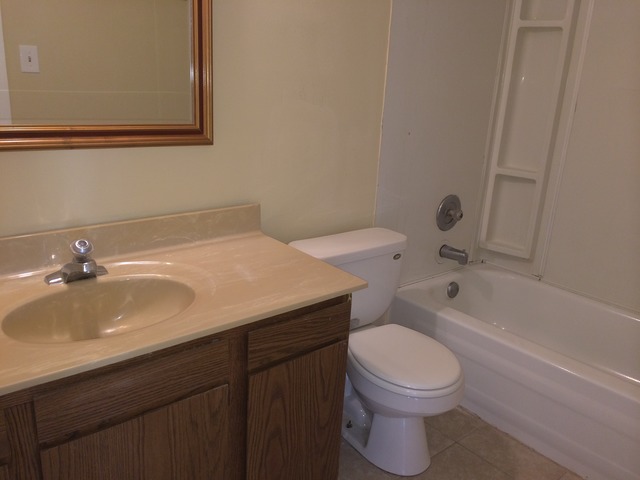 17 Churn Road, Unit 23 Matteson, IL 60443 - Photo 11 of 17 a bathroom with a sink a toilet and bathtub