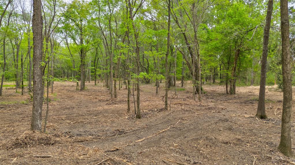 1411 Vz County Road 2139 Wills Point, TX 75169 - Photo 9 of 38