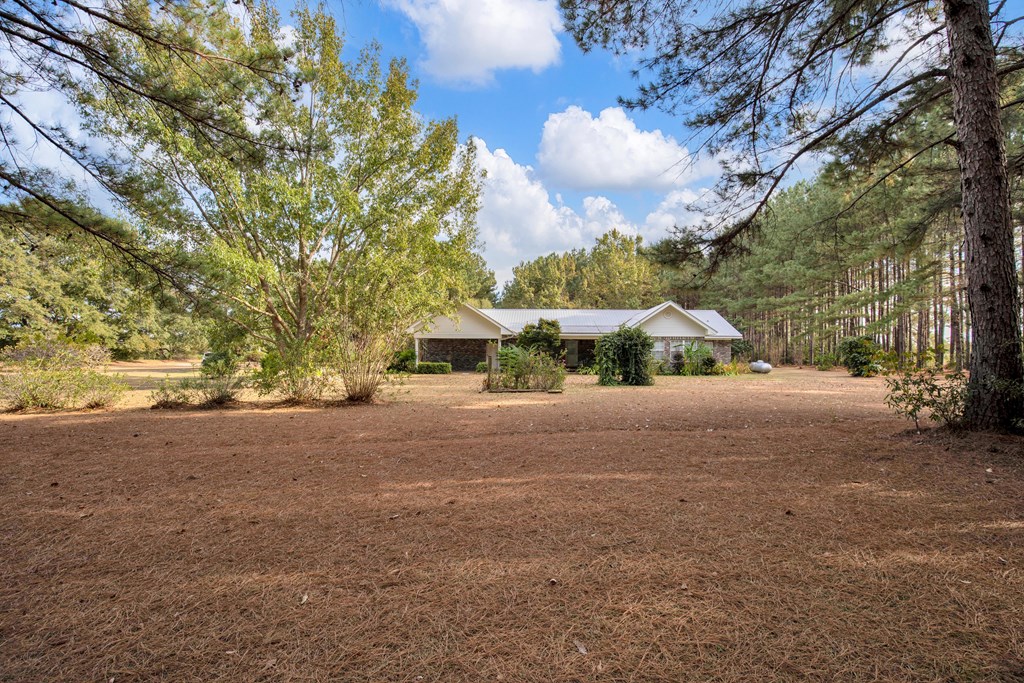 160 Paulk Road Dothan, AL 36301 - Photo 9 of 59