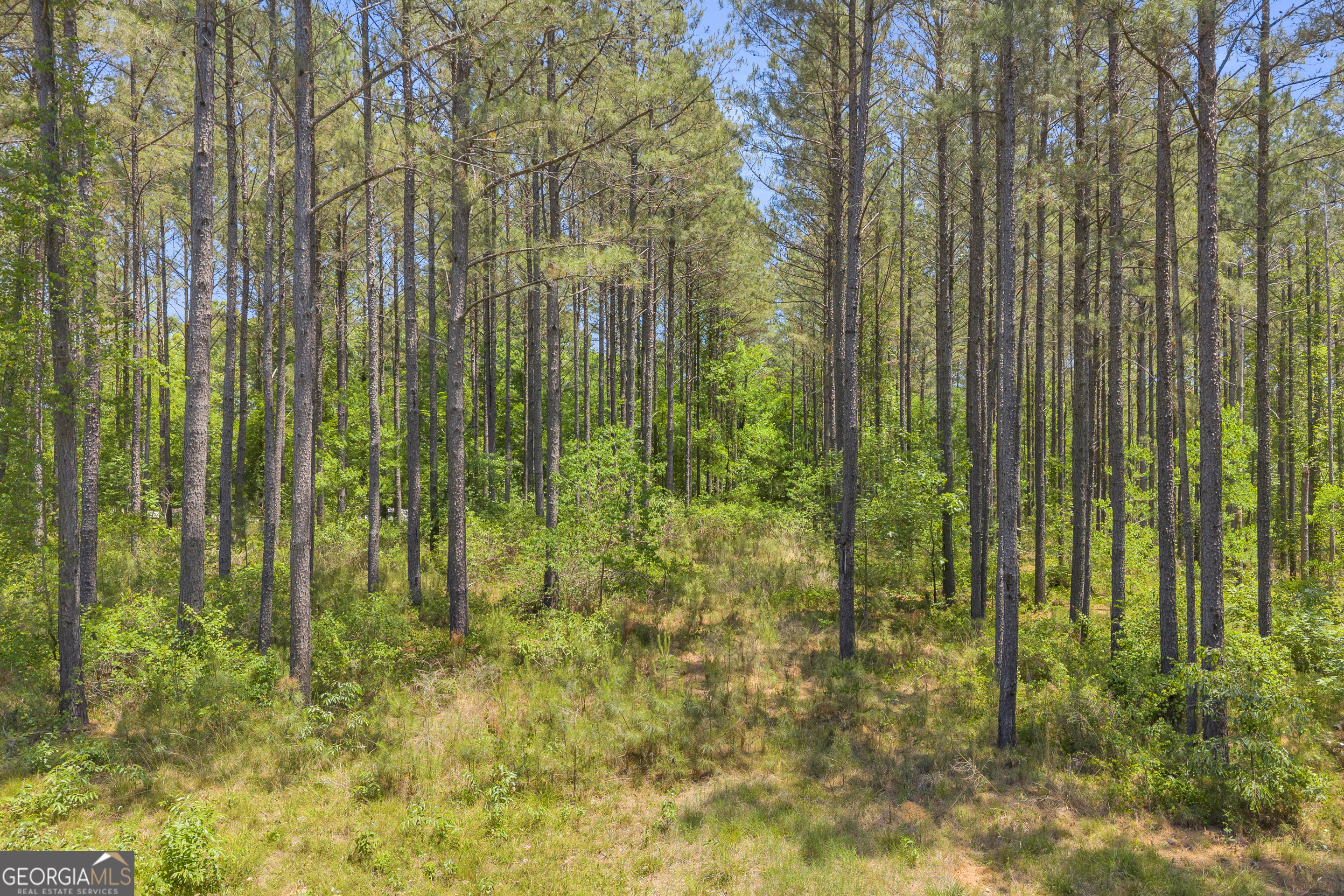 0 Hidden Harbor Road Lincolnton, GA 30817 - Photo 18 of 58