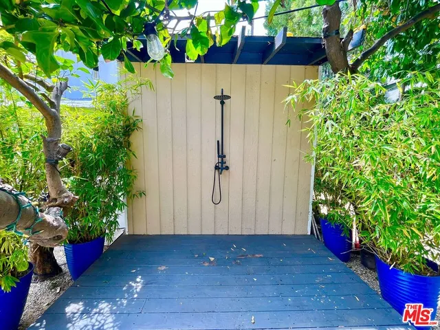 a view of banana tree