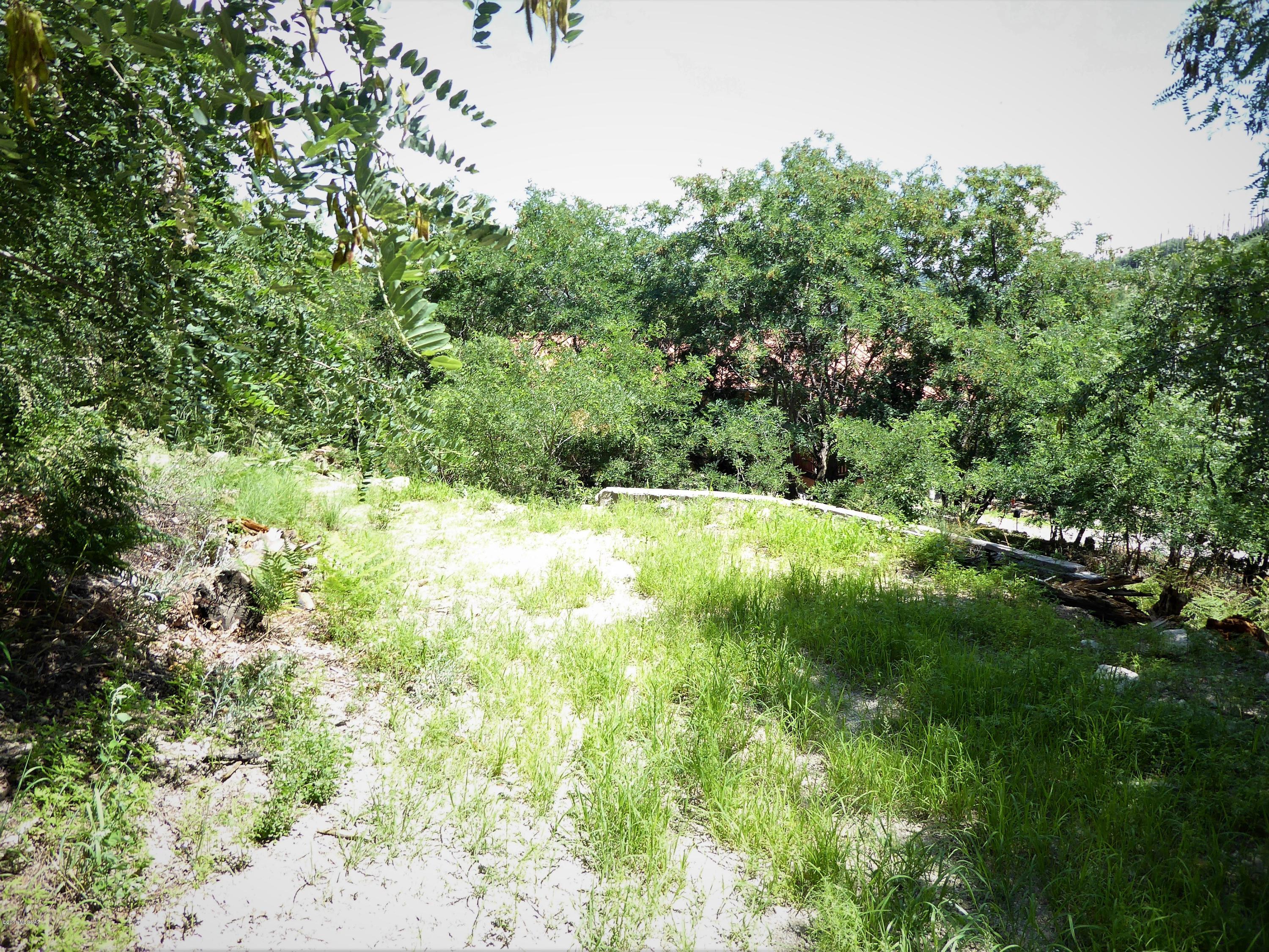12710 North Miners Ridge Road, Unit 12 Mount Lemmon, AZ 85619 - Photo 2 of 4