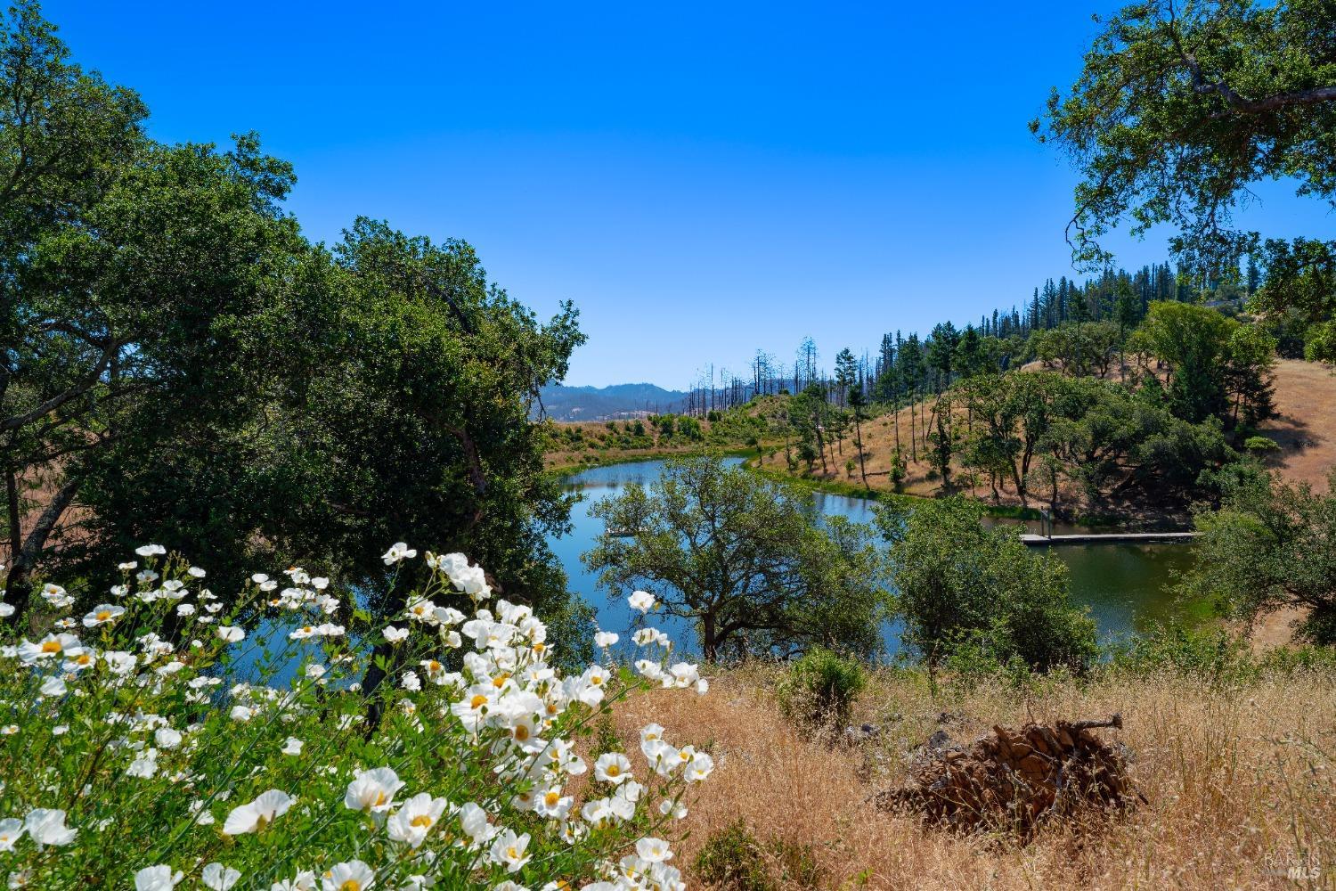 5000 Upper Ridge Road Santa Rosa, CA 95404 - Photo 11 of 20