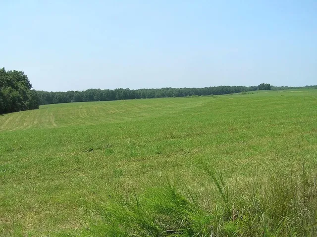 $5,000,000 | 0 State Route 8, McMinnville, TN 37110