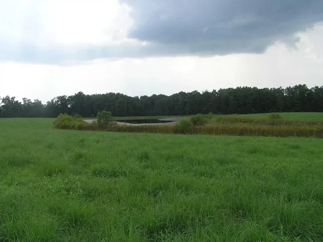 $5,000,000 | 0 State Route 8, McMinnville, TN 37110