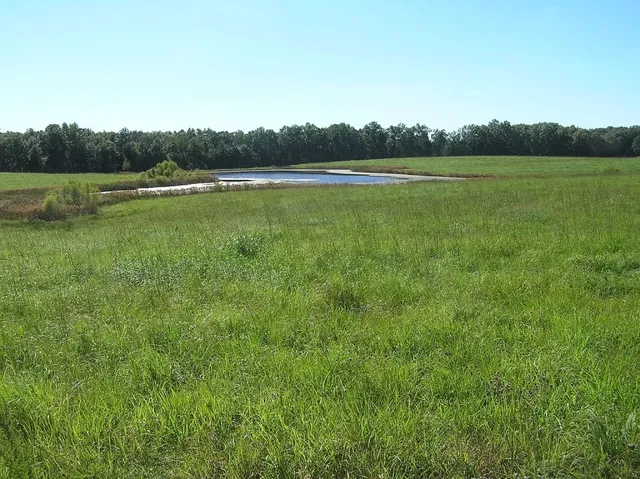 $5,000,000 | 0 State Route 8, McMinnville, TN 37110