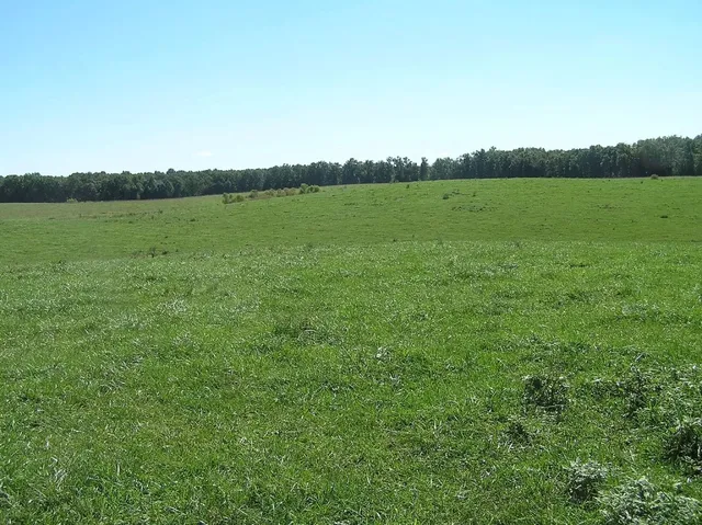 $5,000,000 | 0 State Route 8, McMinnville, TN 37110