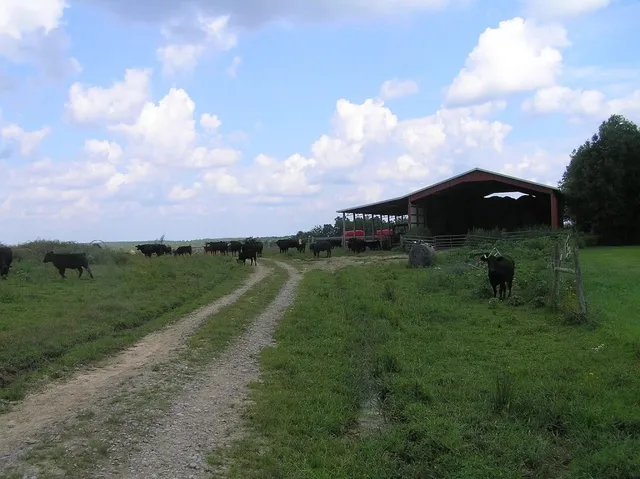 $5,000,000 | 0 State Route 8, McMinnville, TN 37110