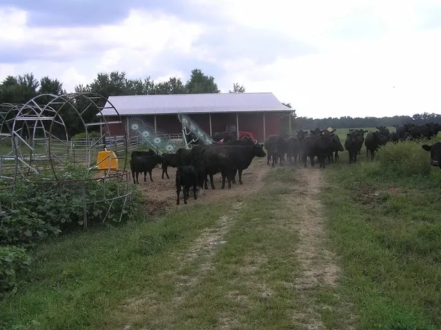 $5,000,000 | 0 State Route 8, McMinnville, TN 37110