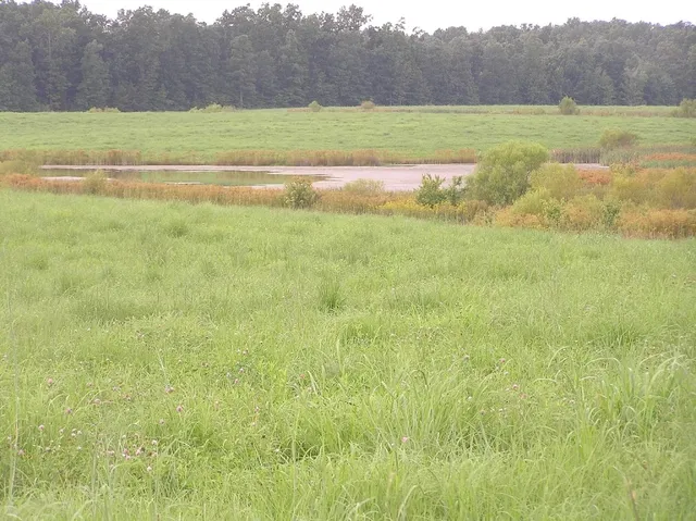 $5,000,000 | 0 State Route 8, McMinnville, TN 37110