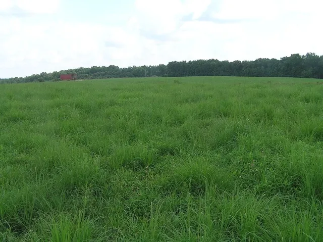 $5,000,000 | 0 State Route 8, McMinnville, TN 37110